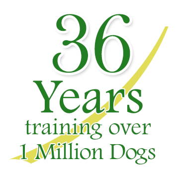 36 Years of Bark Busters Dog Training