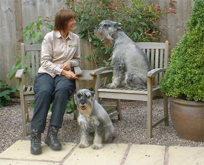 Diane Foster, Dog Obedience Trainer & Behavioural Therapist for Sutton Coldfield, Tamworth & Lichfield