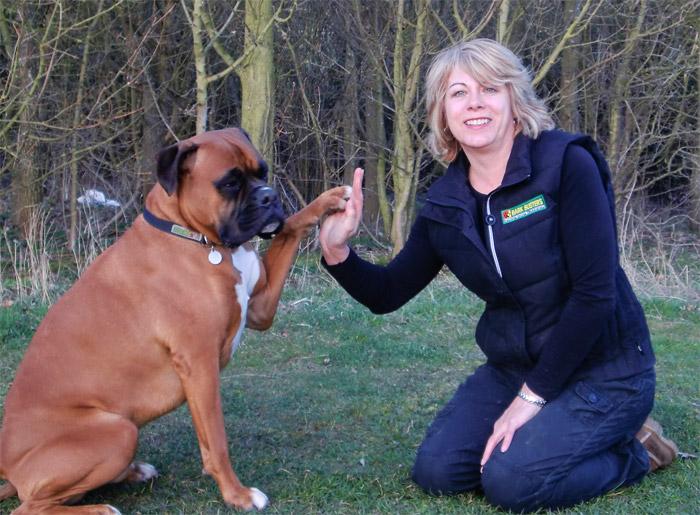 Lynn Prentice, Dog Obedience Trainer & Behavioural Therapist for Harrow, Uxbridge & Wembley