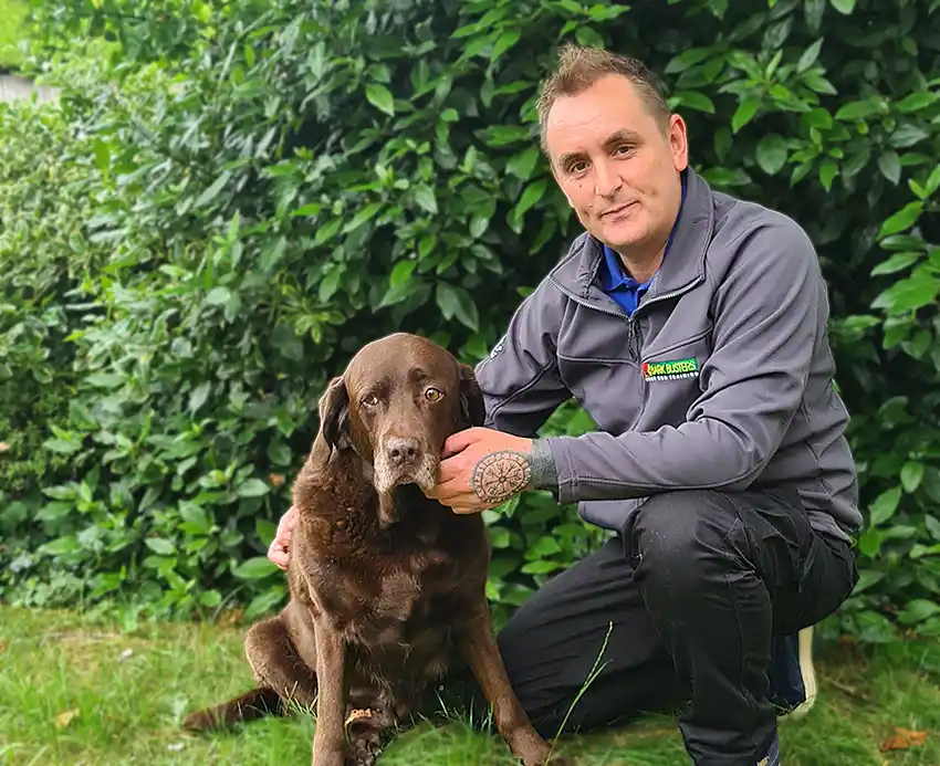 Home Dog Training Peterborough