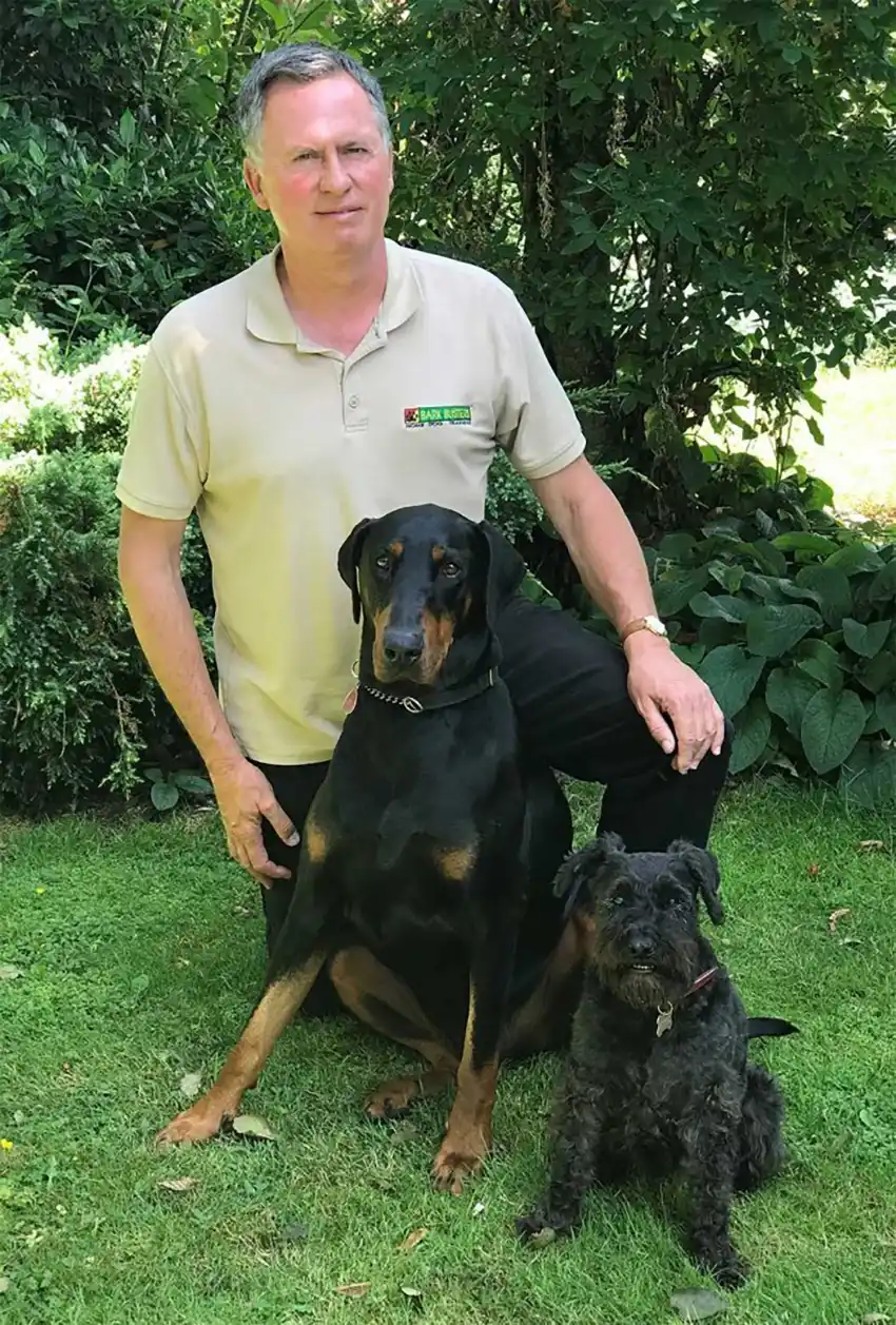 Home dog training Exeter and Devon, puppy behaviour education