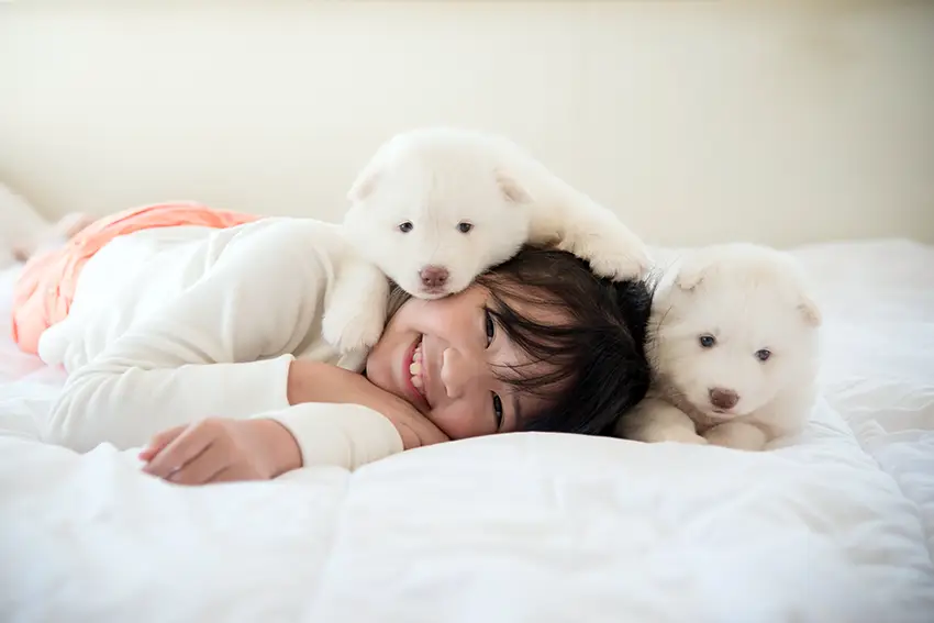 Husky and Children