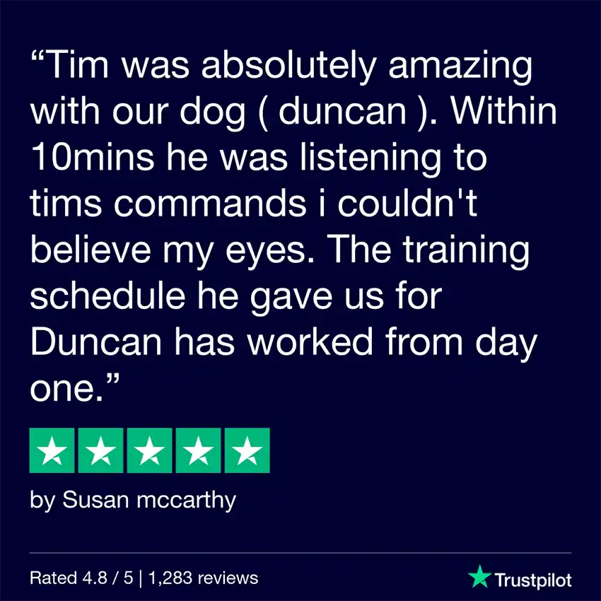 Review Tim